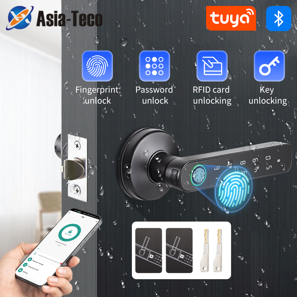 Tuya SmartLife APP BLE Smart F - Door Handle Bar recensione e prezzo
