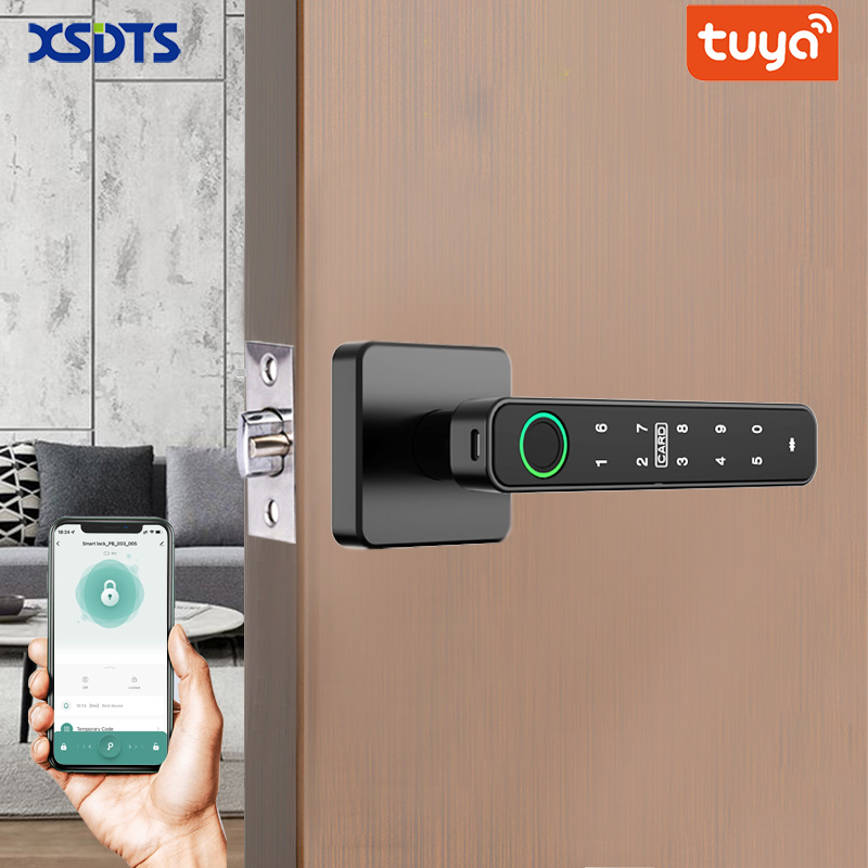 XSDTS Tuya Handle Fingerprint  - Door Handle Bar recensione e prezzo