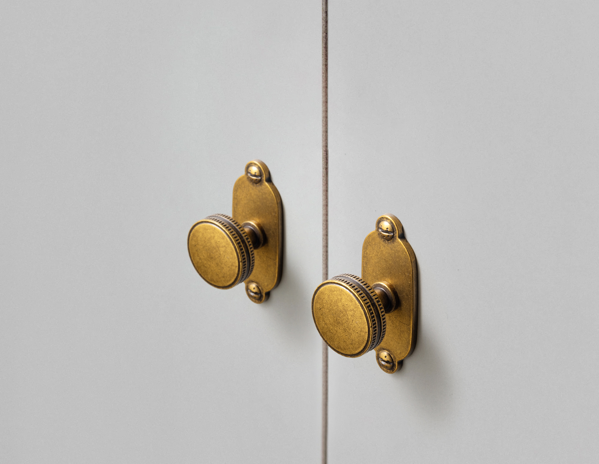 Goo-Ki Champagne Bronze Cabine - Furniture Hardware With Backplate recensione e prezzo