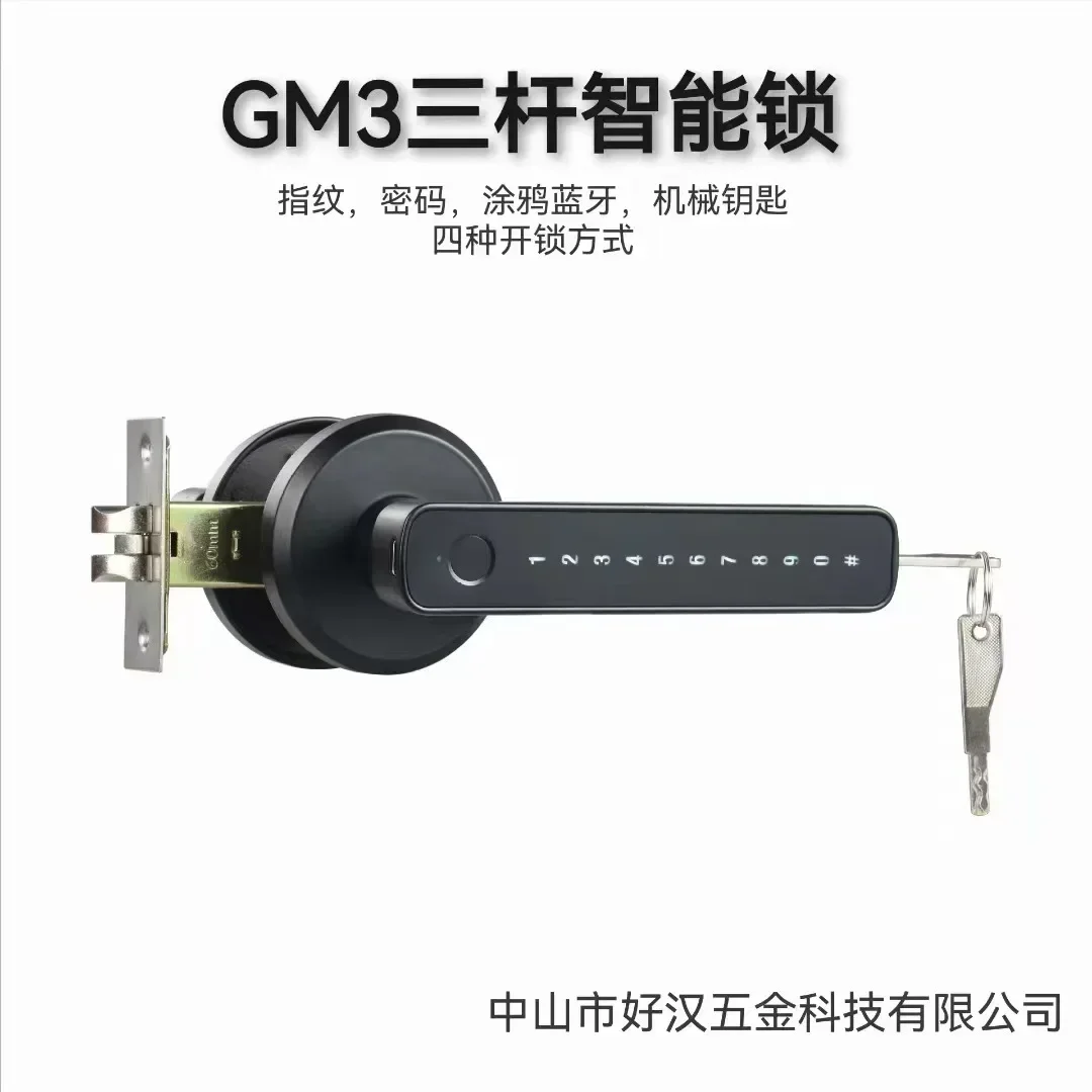 New Tuya Indoor Fingerprint Lo - Door Handle Bar recensione e prezzo