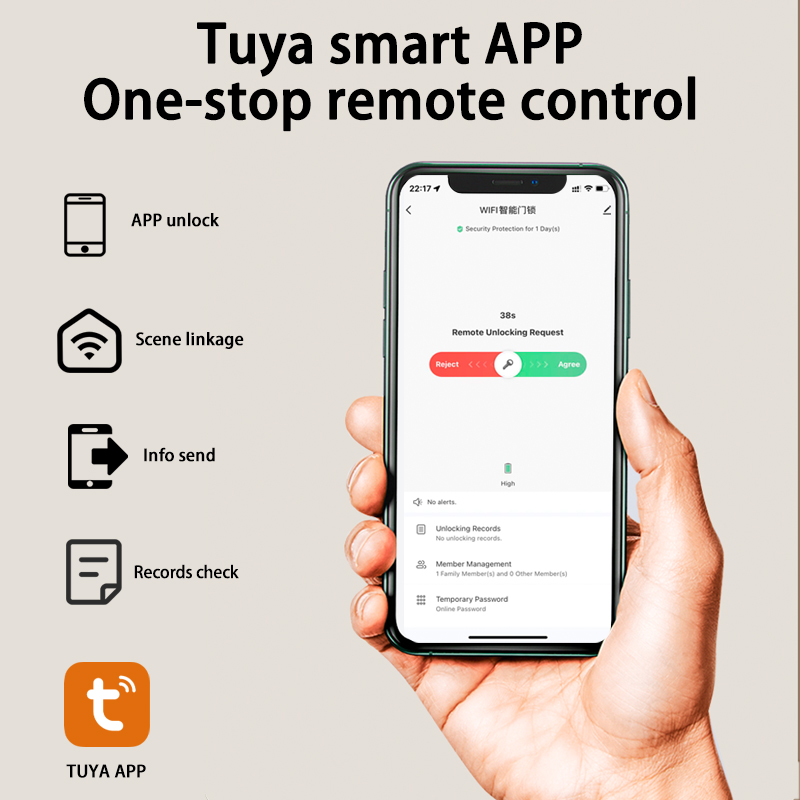 Tuya Smart Lock Wirelss With F - Door Handle Bar recensione e prezzo