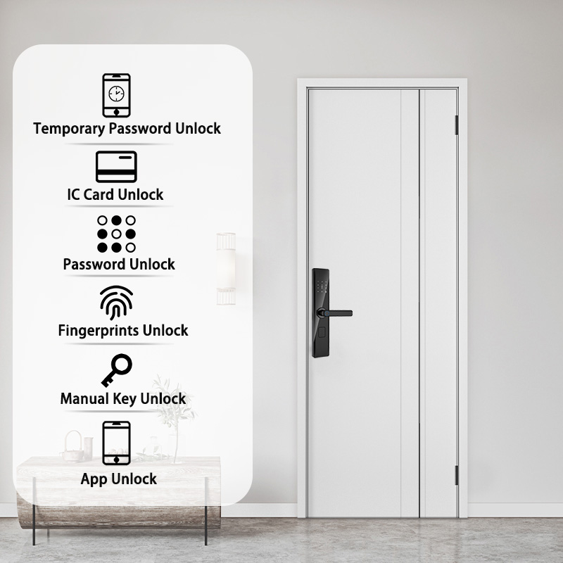 Tuya Smart Lock Wirelss With F - Door Handle Bar recensione e prezzo
