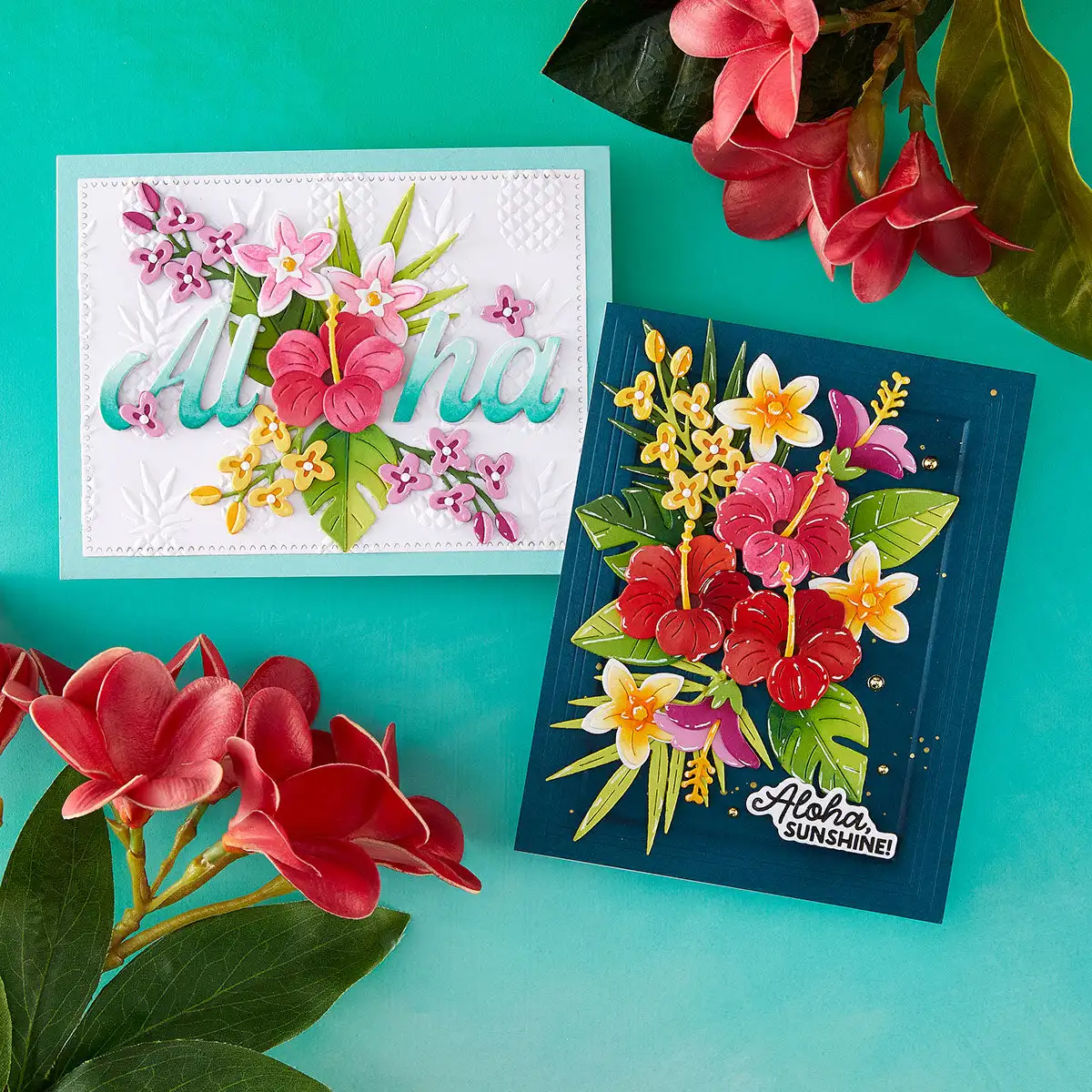 2026 June Turtle Hibiscus Pine - Furniture Paradise & Hardware Ghaziabad Reviews recensione e prezzo