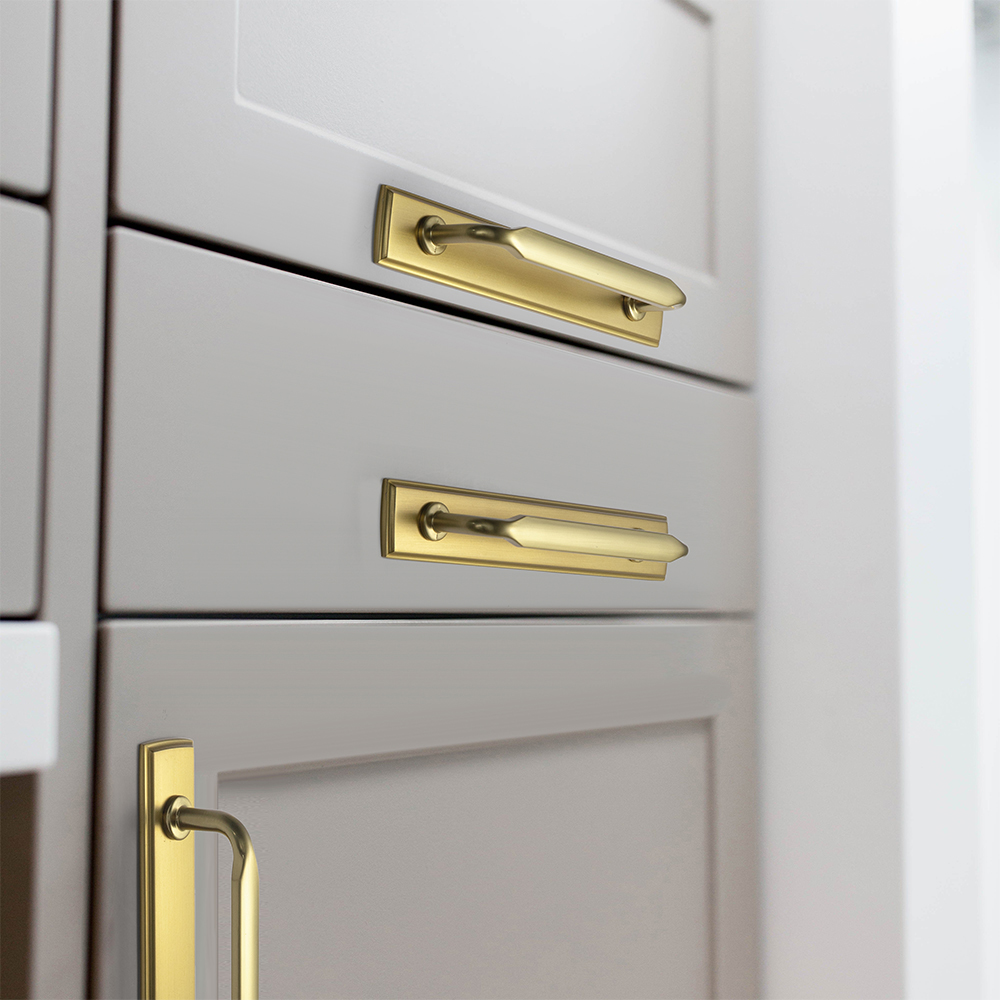 Goo-Ki Brushed Gold Zinc Alloy - Furniture Hardware With Backplate recensione e prezzo